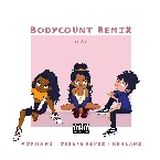 Pochette Body Count (remix)