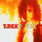 Pochette Hits! The Very Best Of T. Rex
