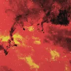 Pochette MUTE SUN RISING