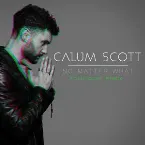 Pochette No Matter What (Fred Falke remix)