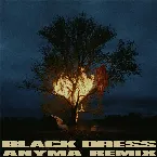 Pochette Black Dress (Anyma Remix)