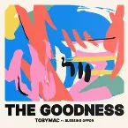Pochette The Goodness