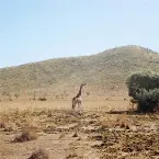 Pochette 우리는 선처럼 가만히 누워