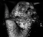 Pochette Spirituality Is Our Vile Attempt at Calculating the Gravity of Destiny