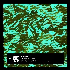 Pochette Cycle Of Life