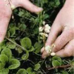 Pochette Are You a Friend?