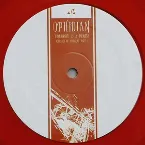 Pochette Tomorrow Is a Promise