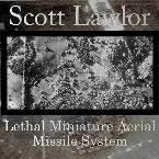 Pochette Lethal Miniature Aerial Missile System
