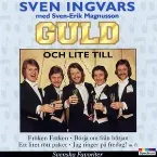 Pochette Guld och lite till