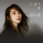 Pochette 你存在