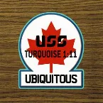 Pochette Turquoise 1:11