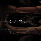 Pochette Ignoring the Guidelines