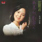 Pochette 再見！我的愛人