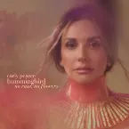 Pochette no rain