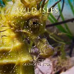 Pochette Wild Isles: Ocean
