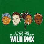 Pochette Wild (RMX)