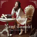 Pochette Everlasting Love