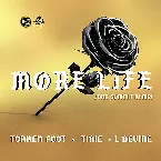Pochette More Life (John Summit remix)