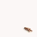 Pochette Naked