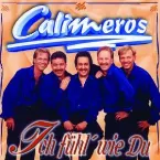 Pochette Ich fühl' wie Du