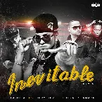 Pochette Inevitable (remix)