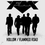 Pochette Hollow / Flamingo Road