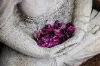 Pochette The Zen of Drone: Simply Beautiful Drone Poems, Vol. 2