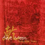 Pochette Invisible Sun