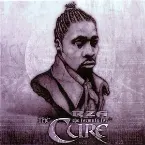 Pochette The Formula for the Cure