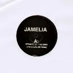Pochette Beware of the Dog / Insomnia