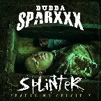 Pochette Splinter