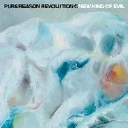 Pochette New Kind of Evil