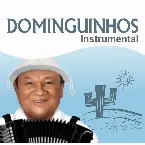 Pochette Dominguinhos Instrumental