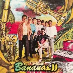 Pochette Bananas II