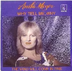 Pochette Why Tell Me, Why / The Wind Will Come in Time
