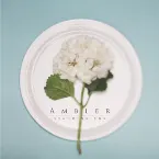 Pochette Ambler