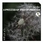 Pochette A Process of Transformation