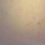 Pochette Achromic Pants