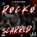 Pochette Scarred