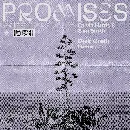 Pochette Promises (David Guetta remix)