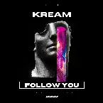 Pochette Follow You