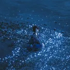 Pochette 流星 / 約束
