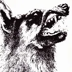 Pochette I, Vigilante