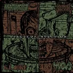 Pochette Stages of Infection