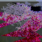 Pochette 祖父.isd