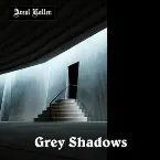 Pochette Grey Shadows