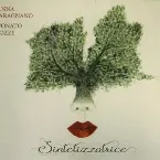 Pochette Sintetizzatrice