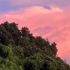 Pochette Dusk Rest Area