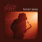 Pochette Slow Burn
