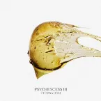 Pochette Psychexcess III - Eternalism